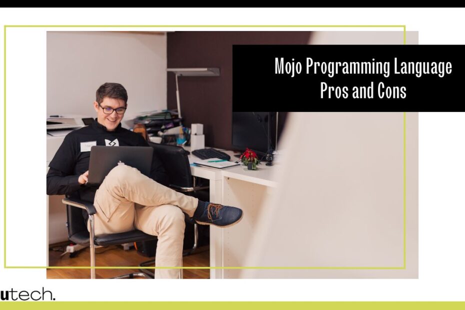Mojo Programming Language - Pros and Cons